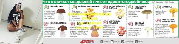 ешки Алзамай