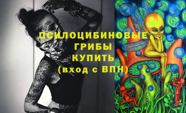 ешки Алзамай