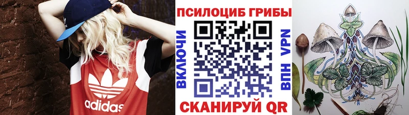 Галлюциногенные грибы мухоморы  закладки  Гаврилов Посад 