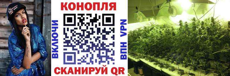МАРИХУАНА сатива  omg зеркало  Гаврилов Посад 